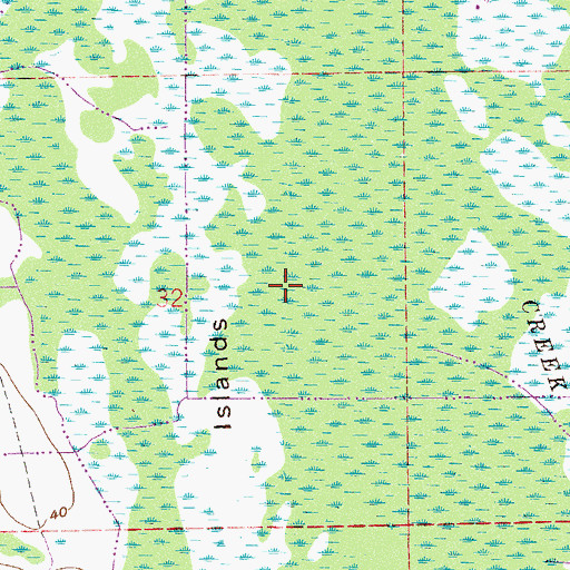 Topographic Map of Deep Creek, FL