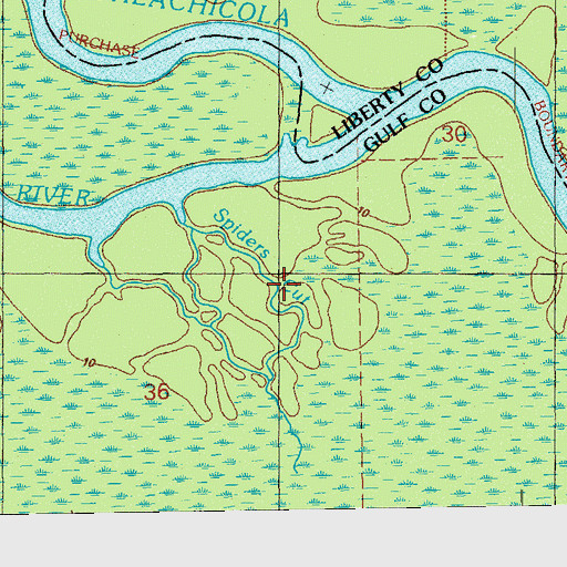 Topographic Map of Spiders Gut, FL