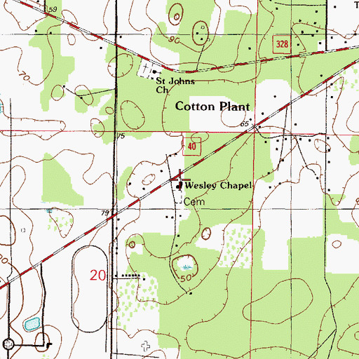 Topographic Map of Wesley Chapel, FL
