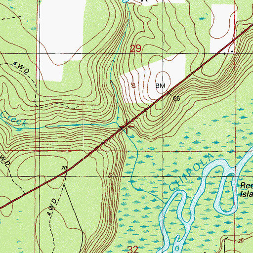 Topographic Map of Flat Creek, FL