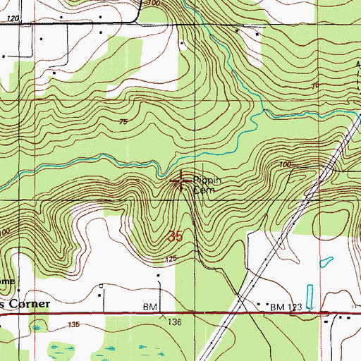 Topographic Map of Pippin Cemetery, FL