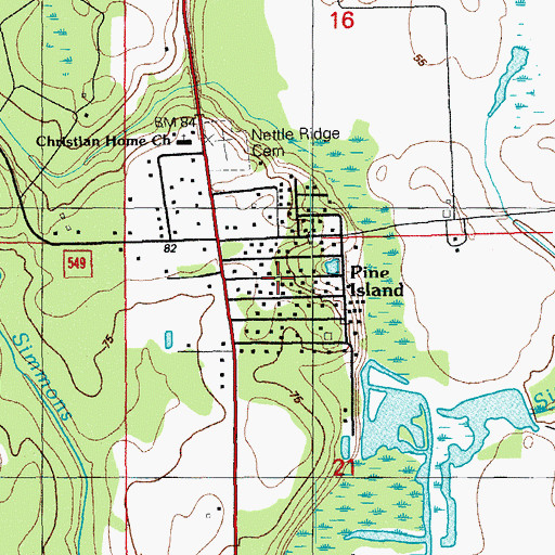 Topographic Map of Pine Island, FL