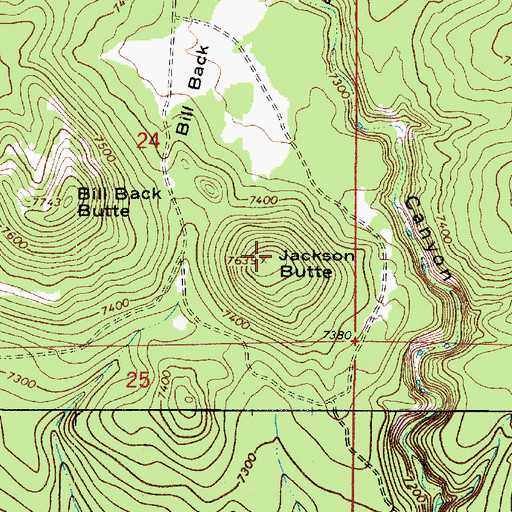 Topographic Map of Jackson Butte, AZ