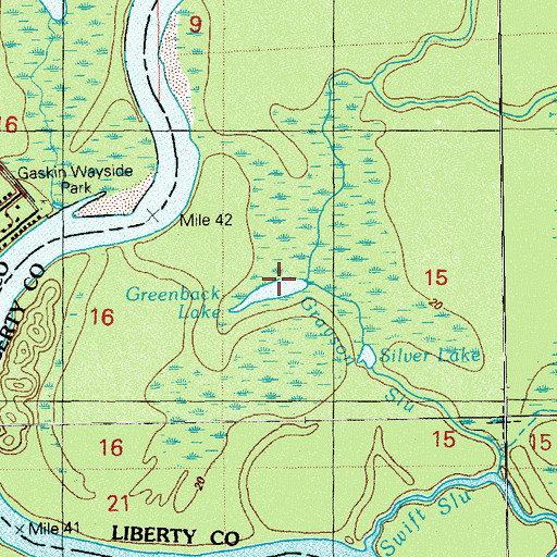 Topographic Map of Greenback Lake, FL