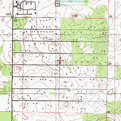 Topographic Map of Ocala Thoroughbred Acres, FL