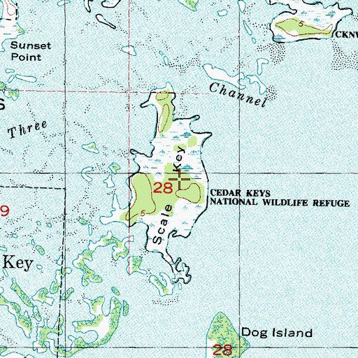 Topographic Map of Cedar Key, FL