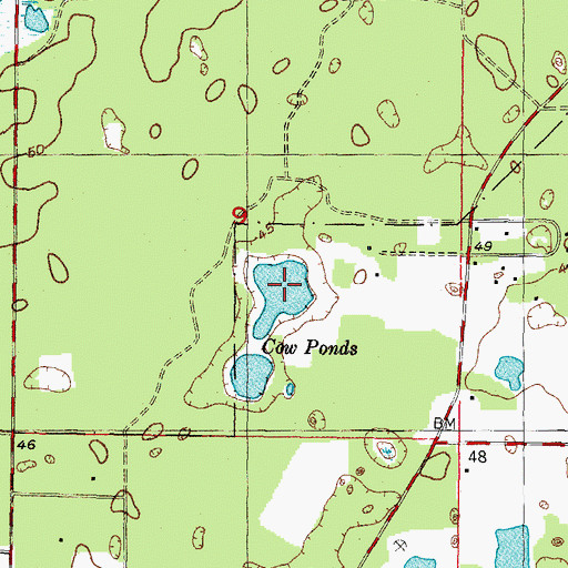 Topographic Map of Cow Ponds, FL