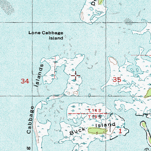 Topographic Map of Long Cabbage Island, FL