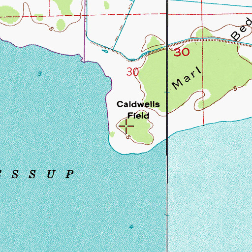 Topographic Map of Cabbage Hammock Point, FL