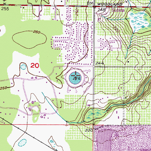 Topographic Map of Engle Lake, FL
