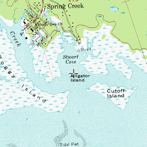 Topographic Map of Alligator Island, FL