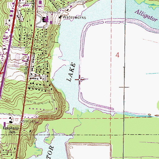 Topographic Map of Alligator Lake, FL