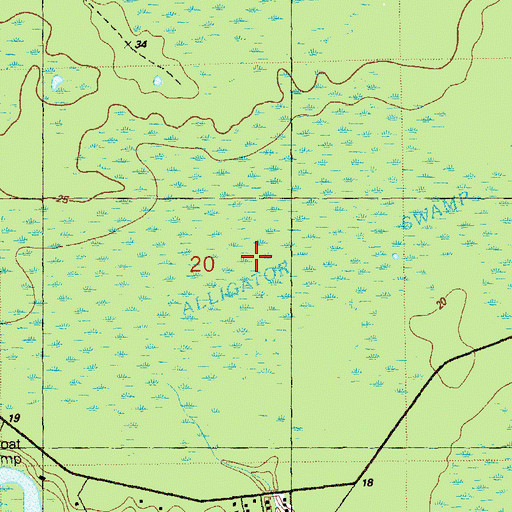 Topographic Map of Alligator Swamp, FL