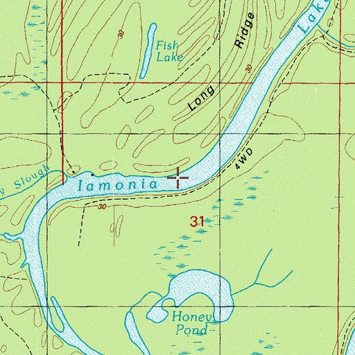 Topographic Map of Iamonia Lake, FL