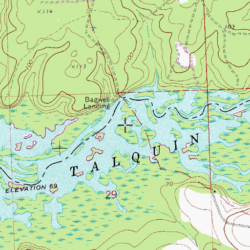 Topographic Map of Bagwell Landing, FL