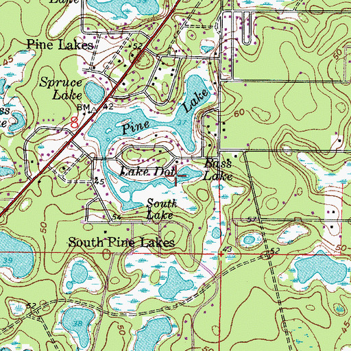 Topographic Map of Bass Lake, FL