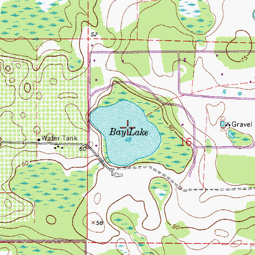 Topographic Map of Bay Lake, FL