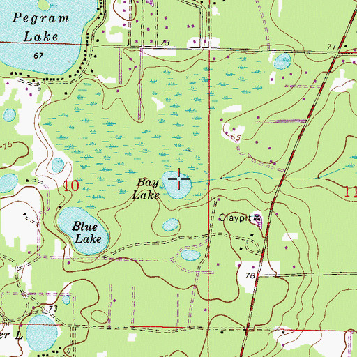Topographic Map of Bay Lake, FL