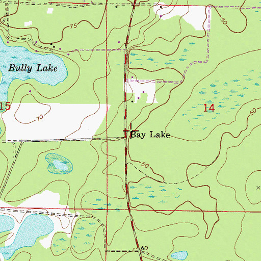 Topographic Map of Bay Lake, FL