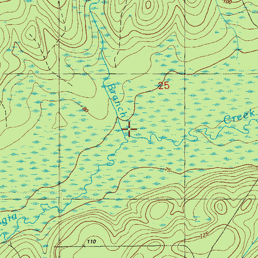 Topographic Map of Bear Branch, FL