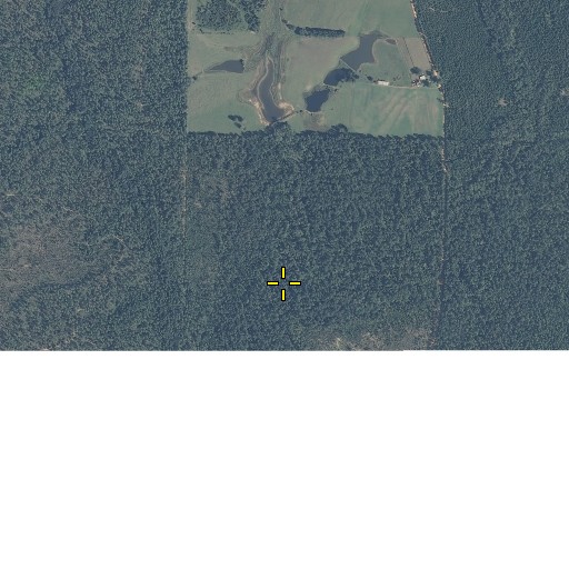 Aerial/Satellite Image of Bee Branch, FL