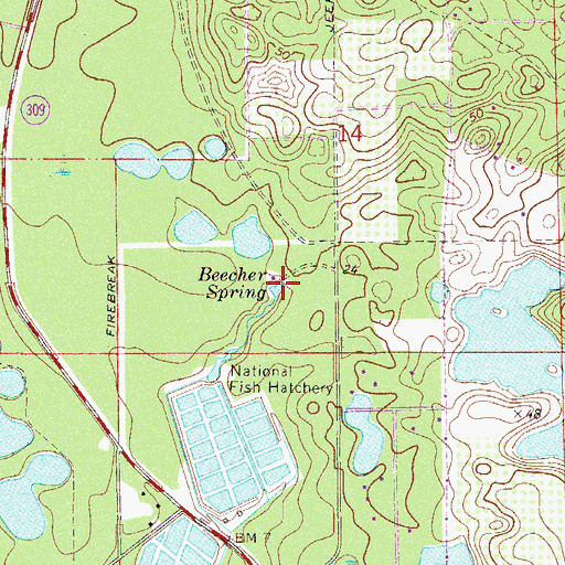 Topographic Map of Beecher Spring, FL