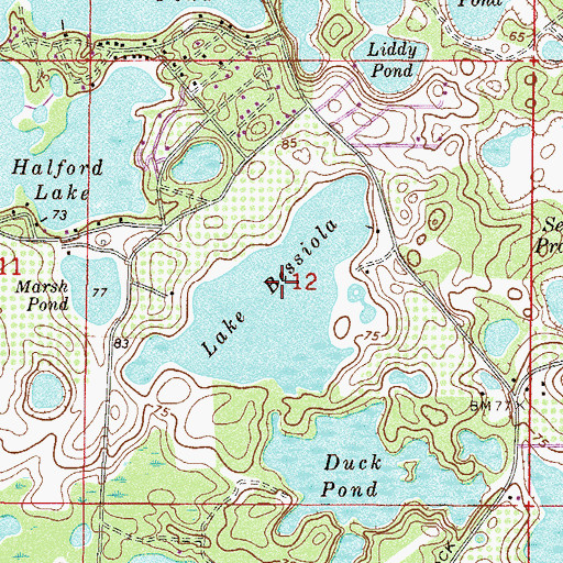 Topographic Map of Lake Bessiola, FL