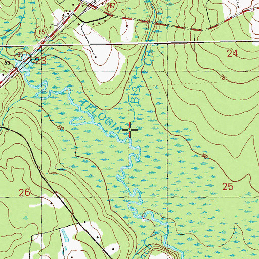 Topographic Map of Big Creek, FL
