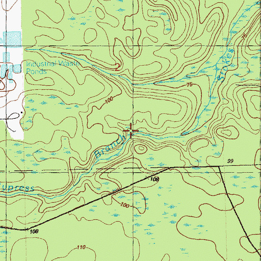 Topographic Map of Big Cypress Branch, FL