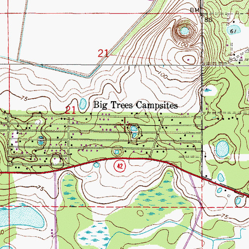 Topographic Map of Big Trees Campsites, FL