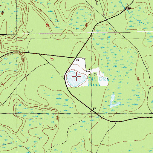 Topographic Map of Bill Dick Pond, FL