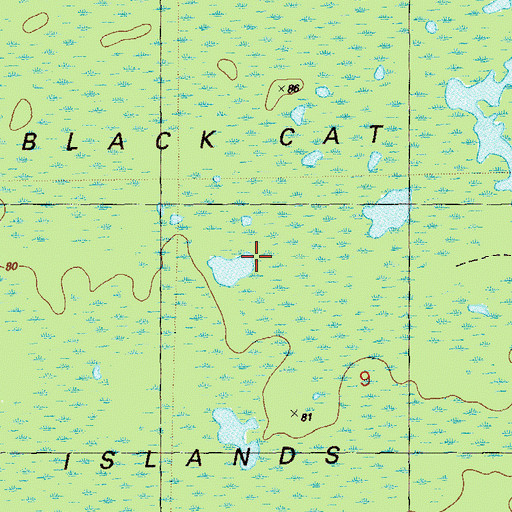 Topographic Map of Black Cat Islands, FL