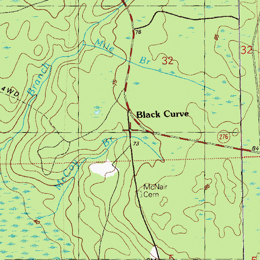 Topographic Map of Black Curve, FL