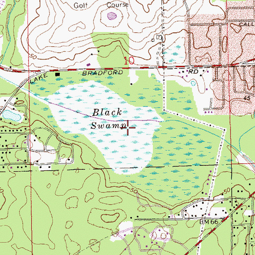 Topographic Map of Black Swamp, FL