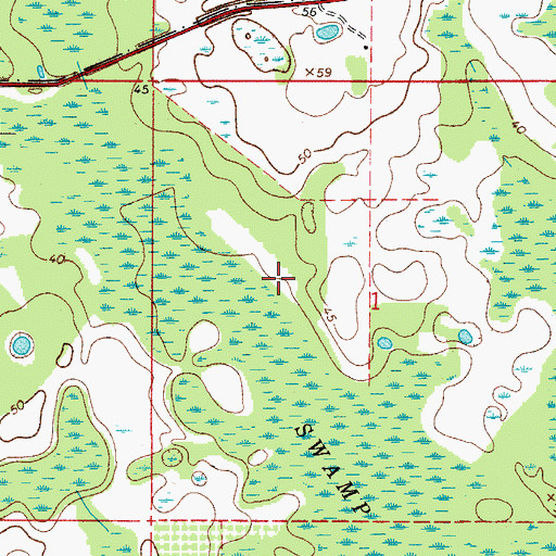 Topographic Map of Black Water Swamp, FL
