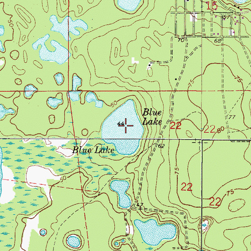 Topographic Map of Blue Lake, FL