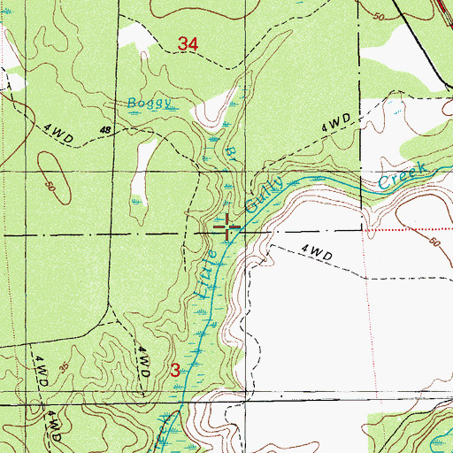 Topographic Map of Boggy Branch, FL