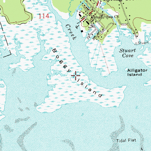 Topographic Map of Boggy Island, FL