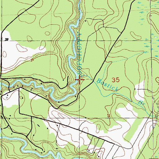 Topographic Map of Bostick Branch, FL