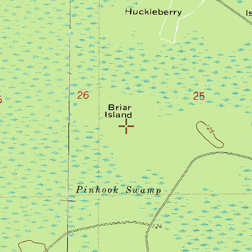 Topographic Map of Briar Island, FL