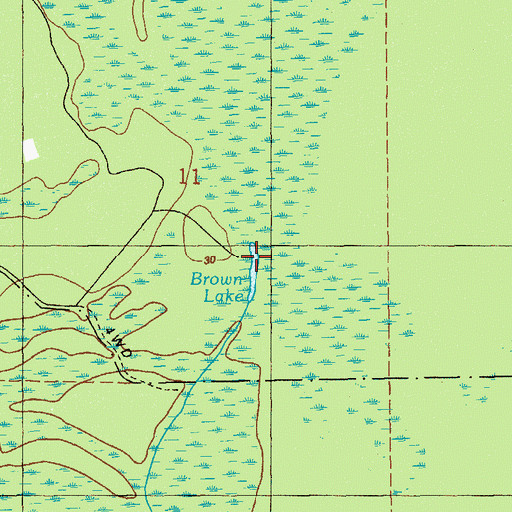Topographic Map of Brown Lake, FL