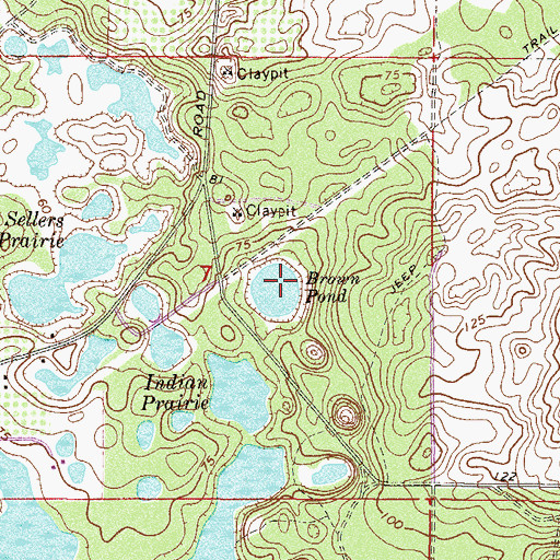 Topographic Map of Brown Pond, FL