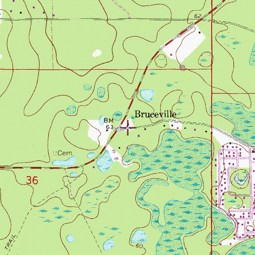 Topographic Map of Bruceville, FL