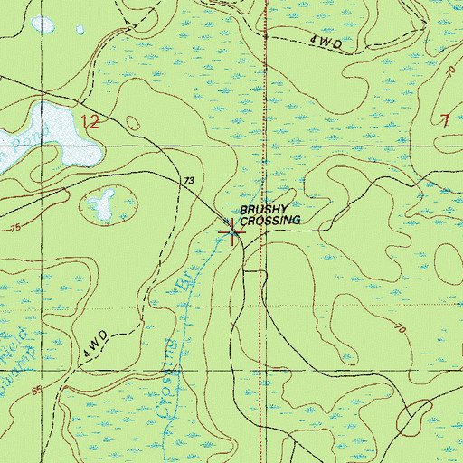 Topographic Map of Brushy Crossing, FL
