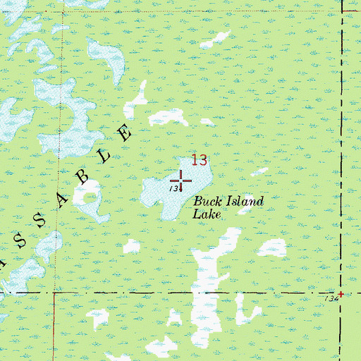 Topographic Map of Buck Island Lake, FL