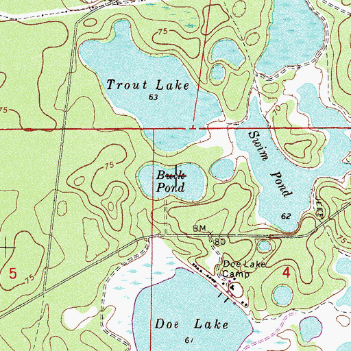 Topographic Map of Buck Pond, FL