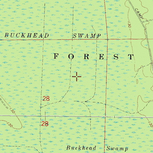 Topographic Map of Buckhead Swamp, FL