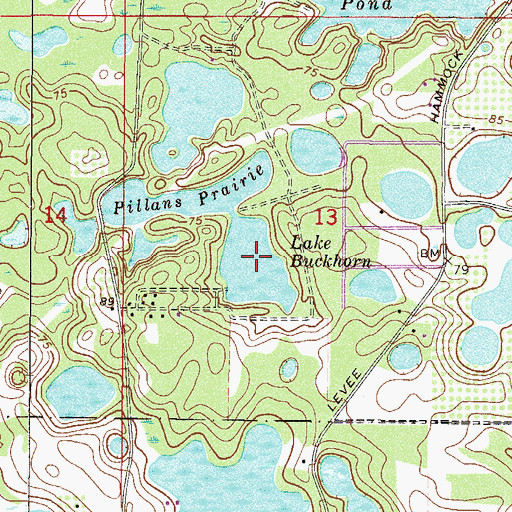 Topographic Map of Lake Buckhorn, FL