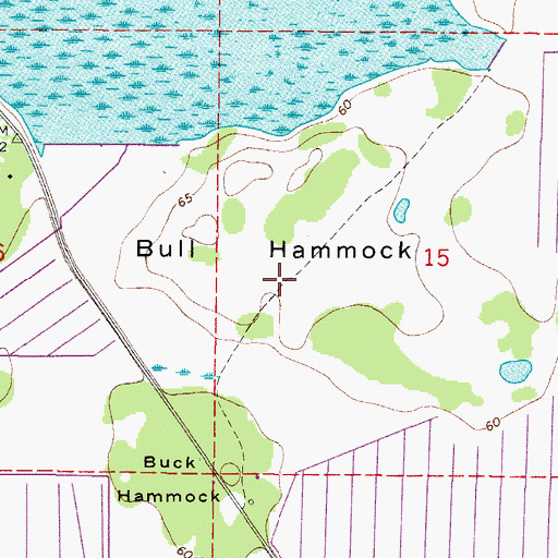 Topographic Map of Bull Hammock, FL