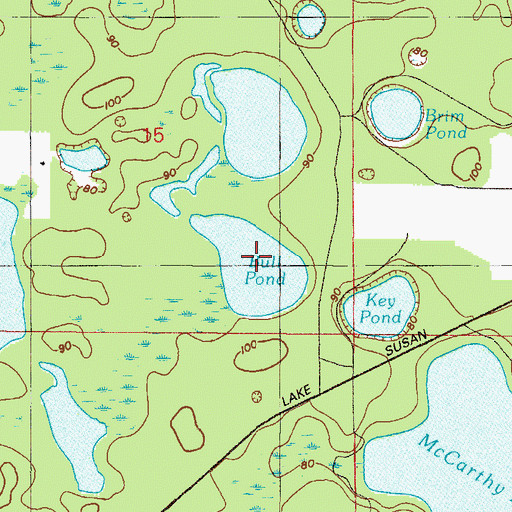 Topographic Map of Bull Pond, FL